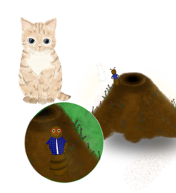 Kendini arayan Karınca-Hikayeler-Güvenilir Çocuk Dergisi